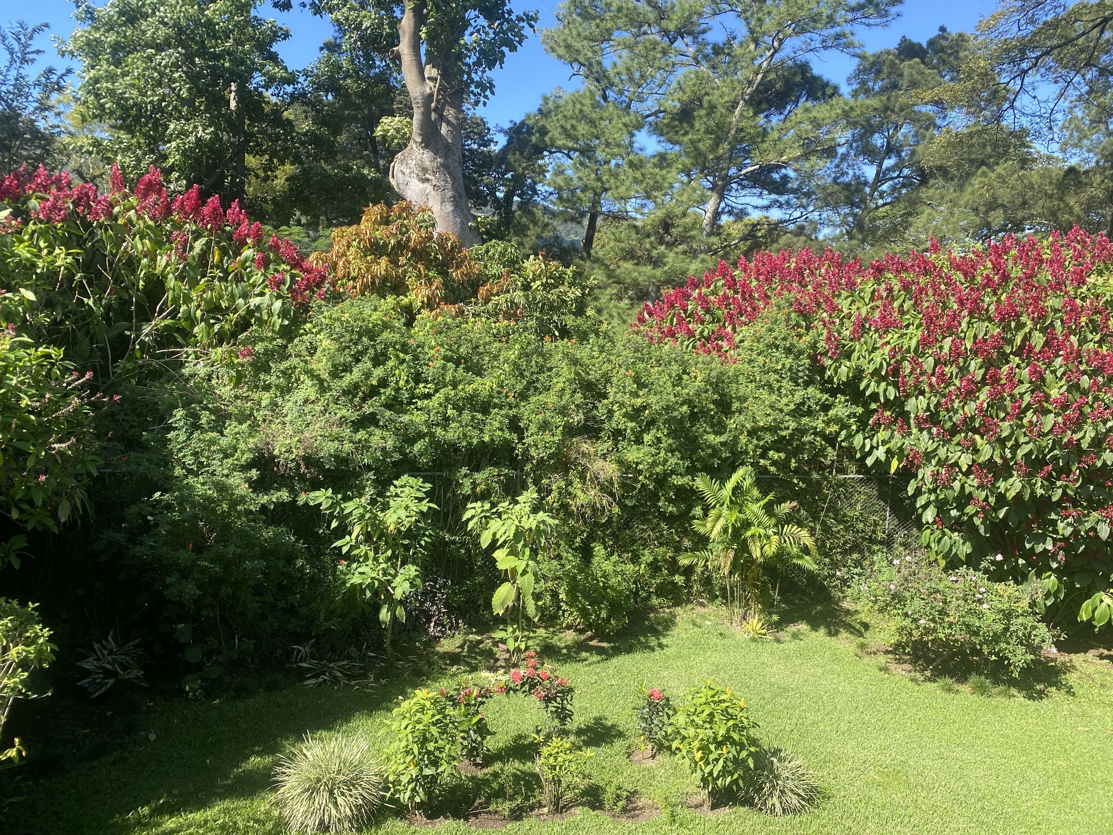 Foto - Tierra Magica B&B and Art Studio