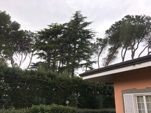 Property grounds - VillaGiò B&B (Frascati)