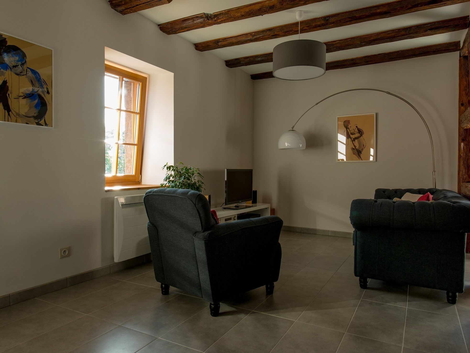 A living room with two dark sofas, a TV, a plant, and artwork on the walls.