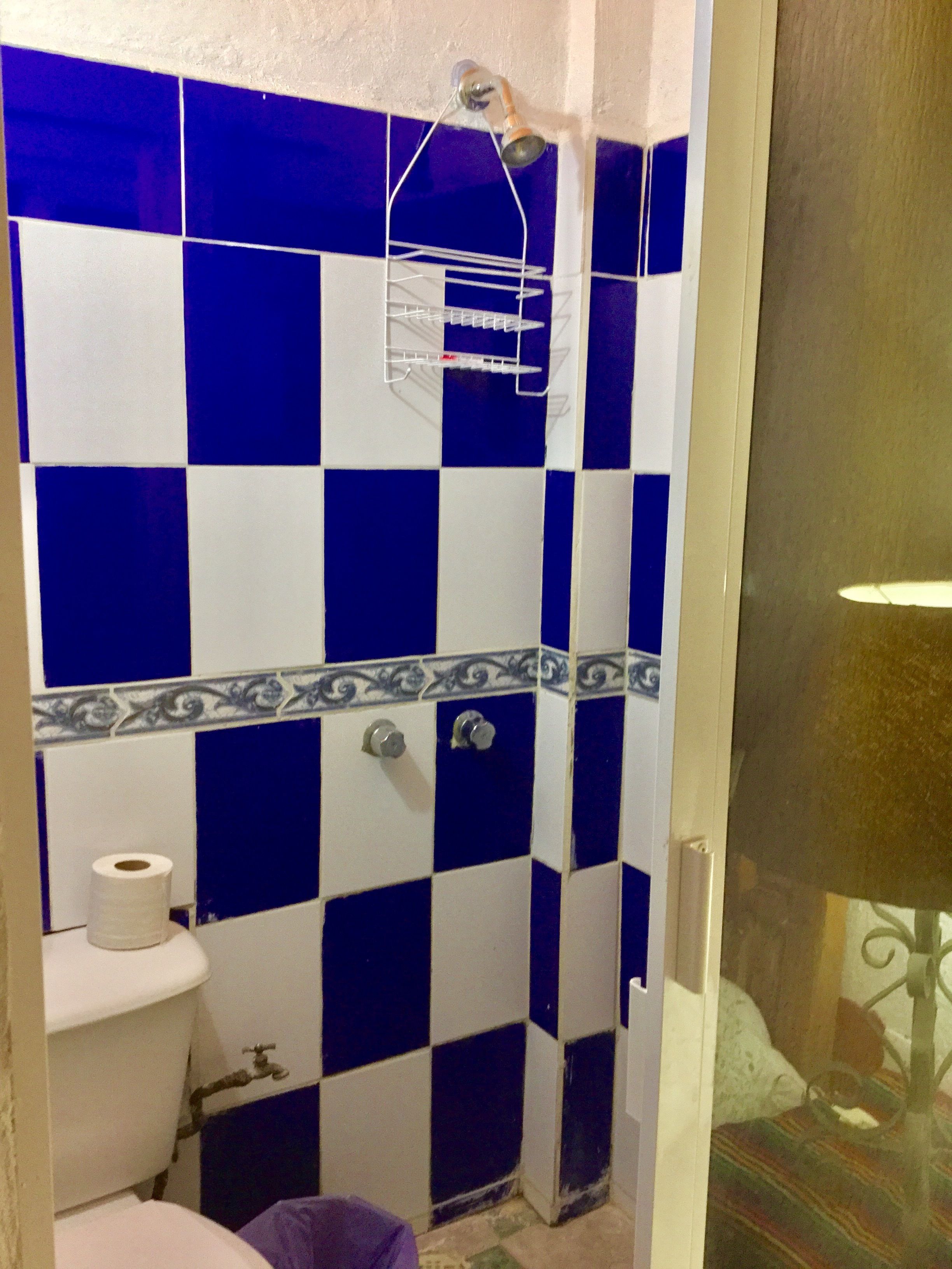 Een badkamer met blauw-witte geruite tegels, een douche met een metalen rek, een toilet en een rol toiletpapier.