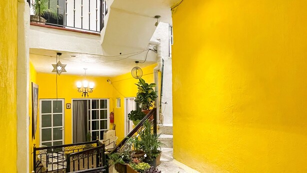 Un intérieur à plusieurs niveaux avec des murs jaunes, un escalier et des plantes en pot.