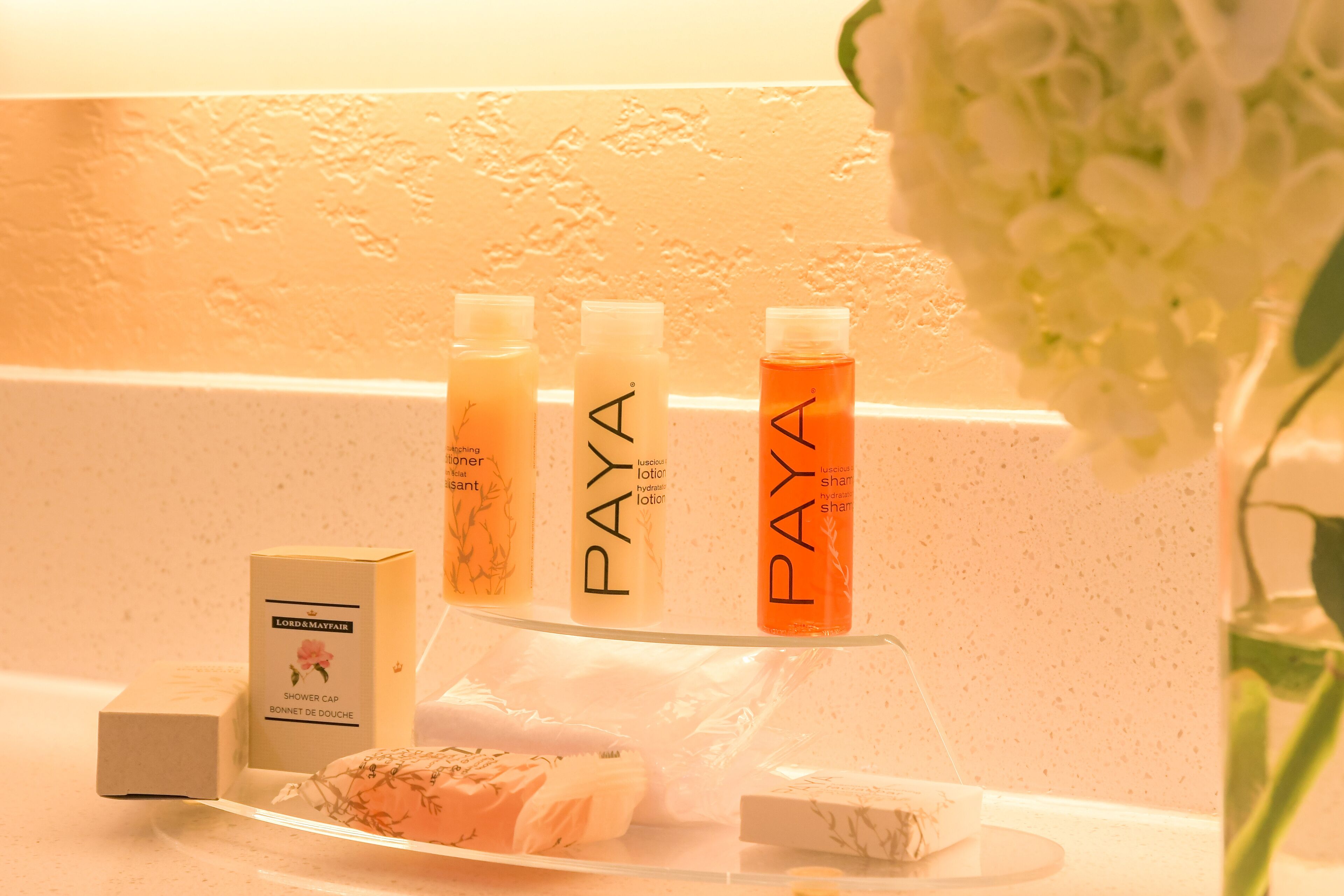 free toiletries, hair dryer, towels, soap