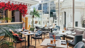 Un restaurante con mesas redondas, sillas y un detalle decorativo de cactus.