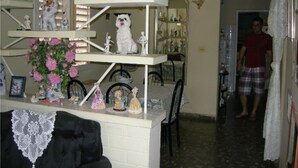 Une pièce avec une étagère blanche où sont exposées diverses figurines, ainsi qu’une petite table recouverte d’une nappe en dentelle.