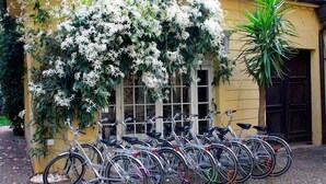 A row of bicycles parked in front of a building with a yellow facade and a large flowering bush.
