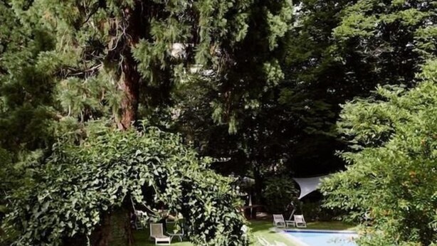 A lush garden with a swimming pool, surrounded by tall trees and well-maintained hedges.