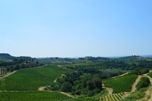 Vista desde la propiedad