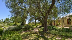 A garden with a large tree, a pathway, and a building with a yellow facade.