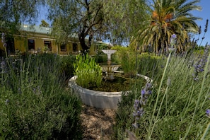 Property grounds - Darling Lodge Guest House (Darling)