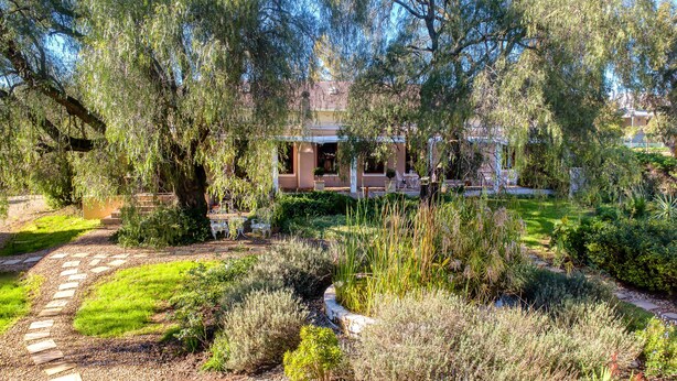 A garden with a pathway leading to a building with a tiled roof.