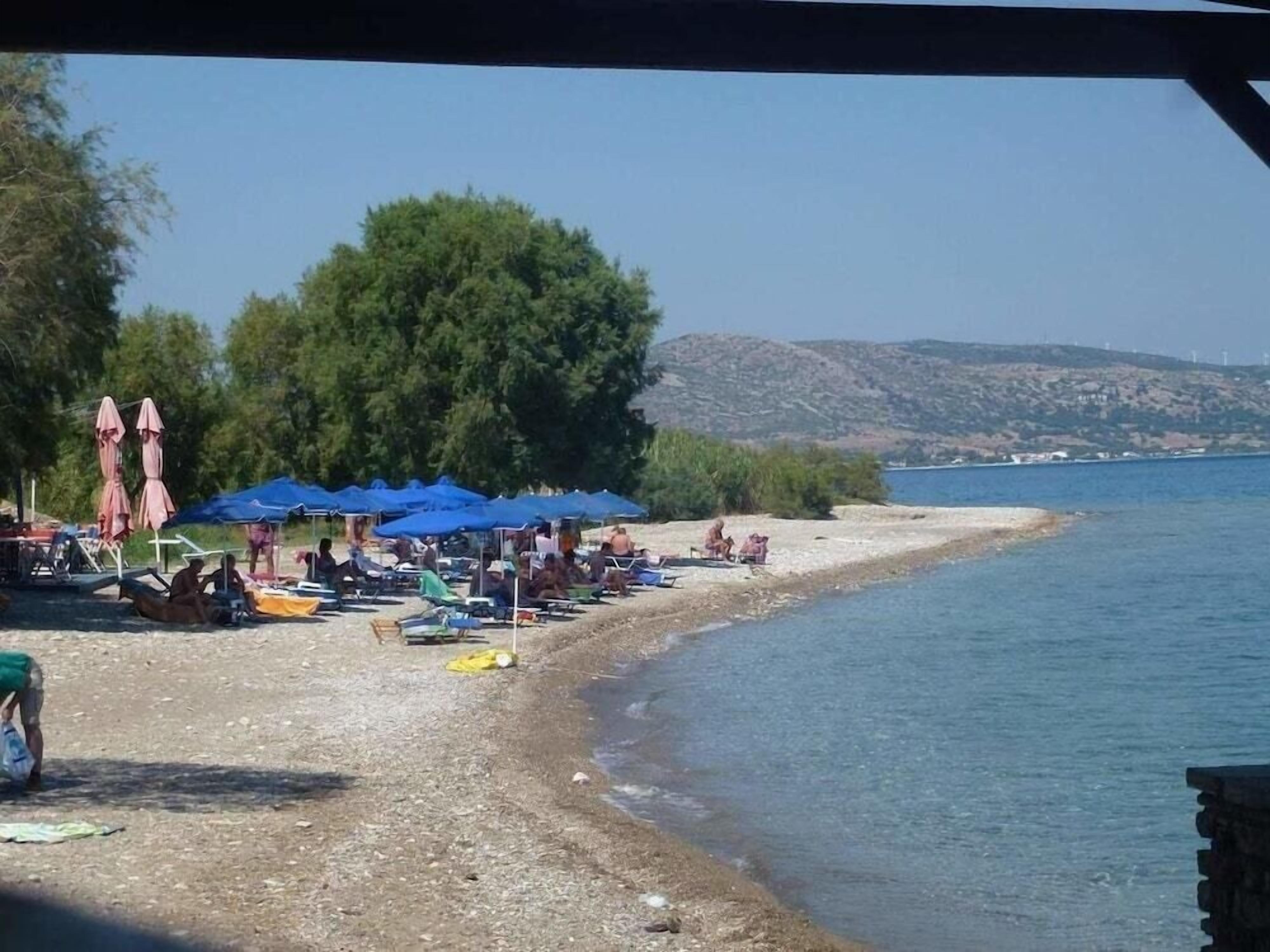A beach with rows of umbrellas and sun loungers, a sandy shore, and a calm sea.