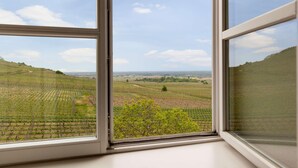 A vineyard view through a window. - Val-vignes Haut-koenigsbourg, The Originals Relais (Saint-Hippolyte)