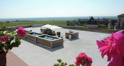 Val-vignes Haut-koenigsbourg, The Originals Relais