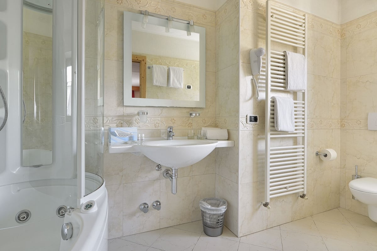 free toiletries, hair dryer, bidet, towels