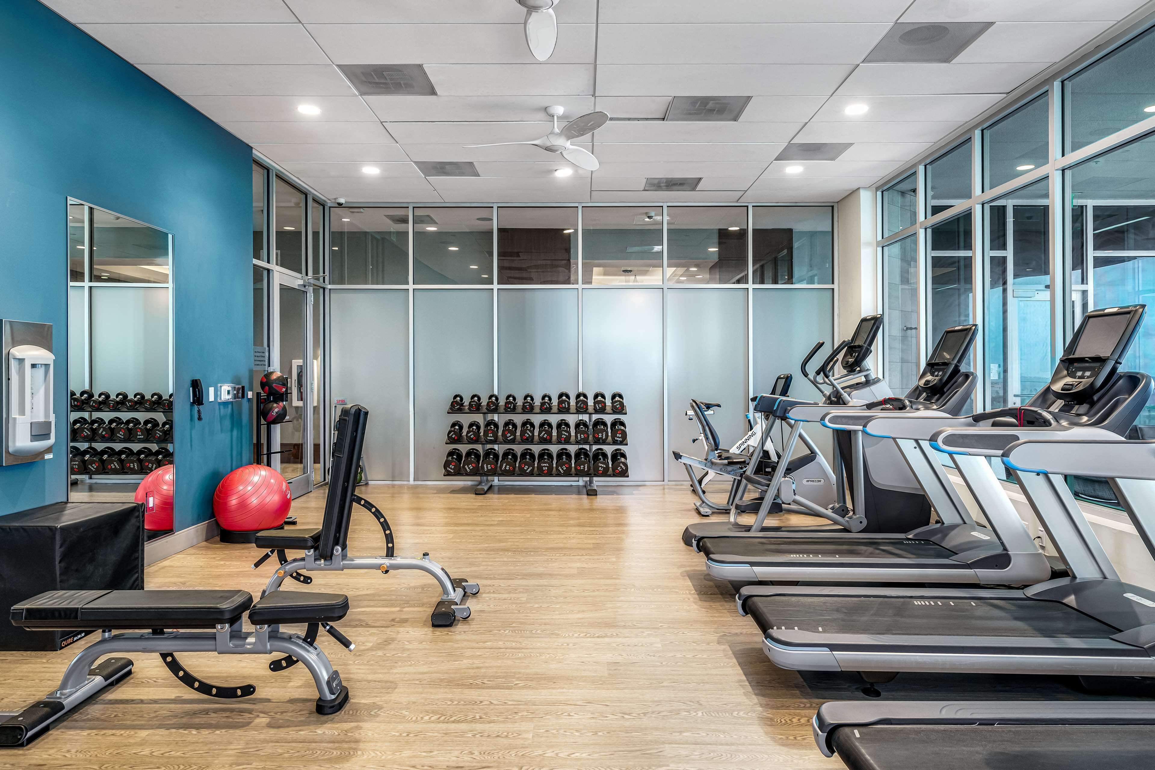 A gym with treadmills, weight machines, and a wall of dumbbells.