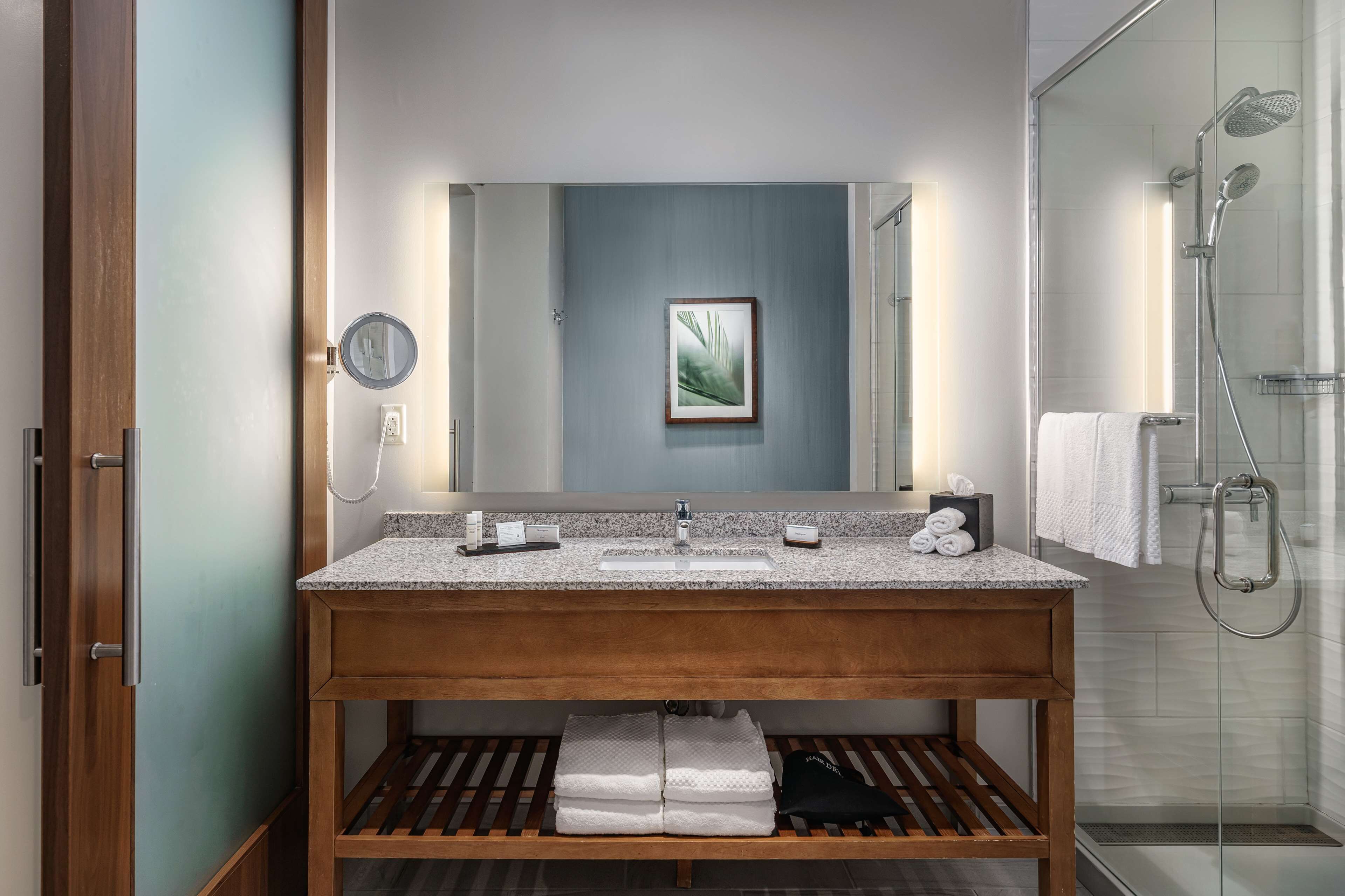 A modern bathroom with a granite countertop sink, a wooden vanity, a large mirror, a framed plant, and a glass-enclosed shower area.