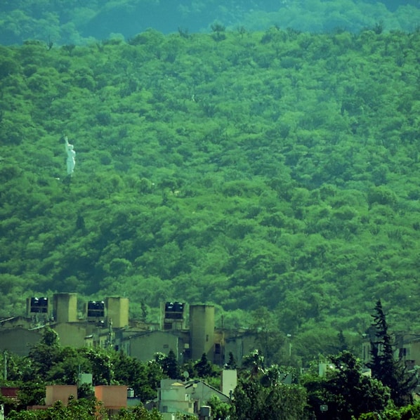 A residential area with houses and a statue on a hill.