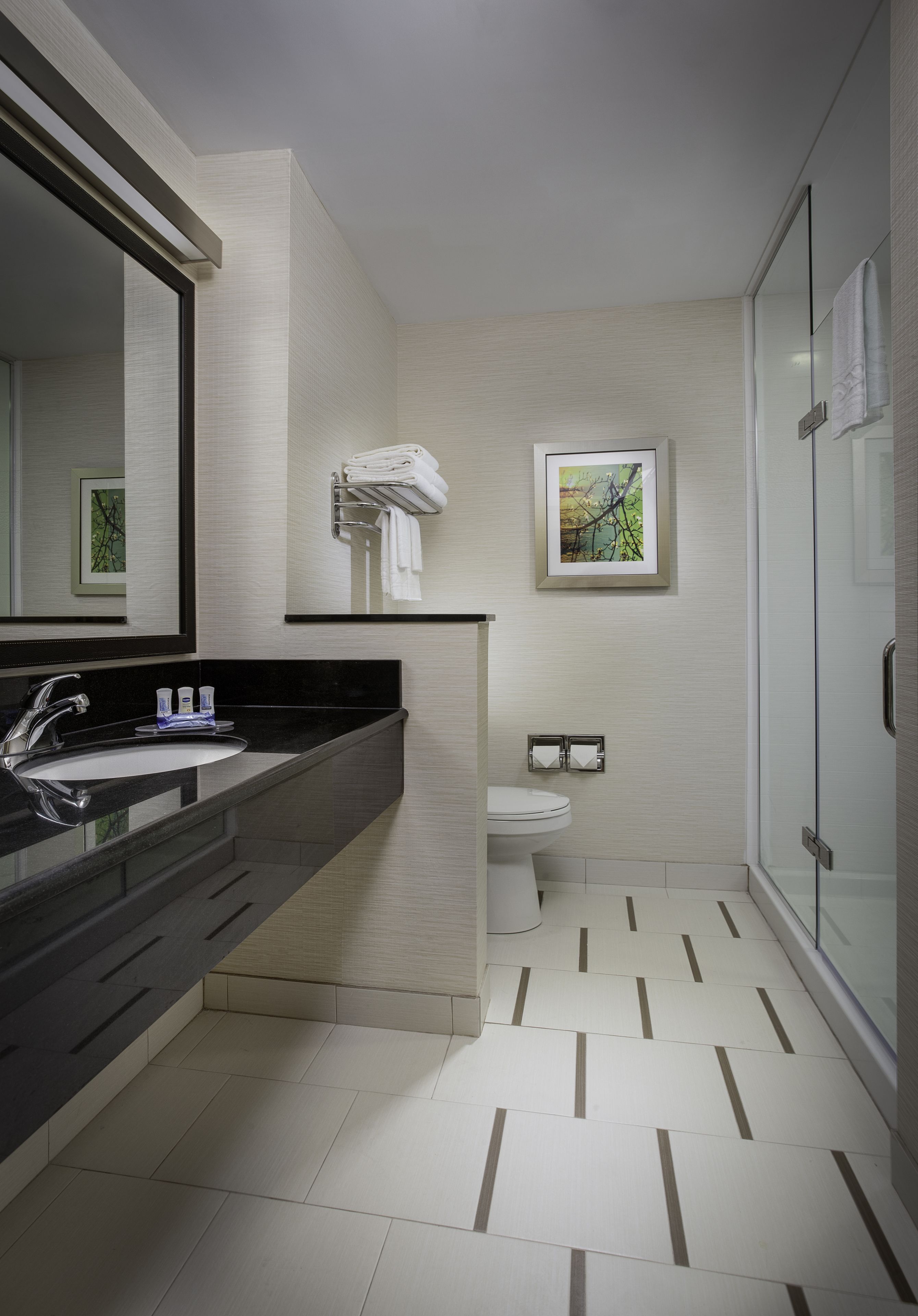 free toiletries, hair dryer, towels