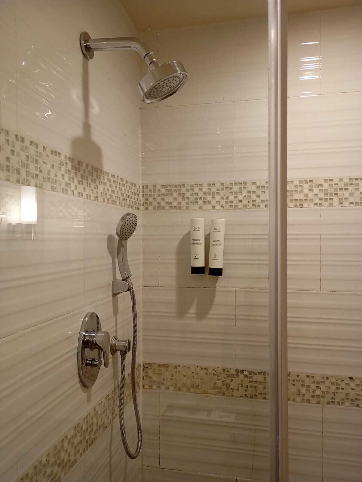 A shower with a handheld showerhead and a wall-mounted showerhead. There are two bottles of shampoo on the wall.