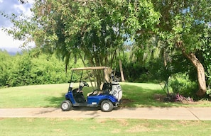 Golf cart