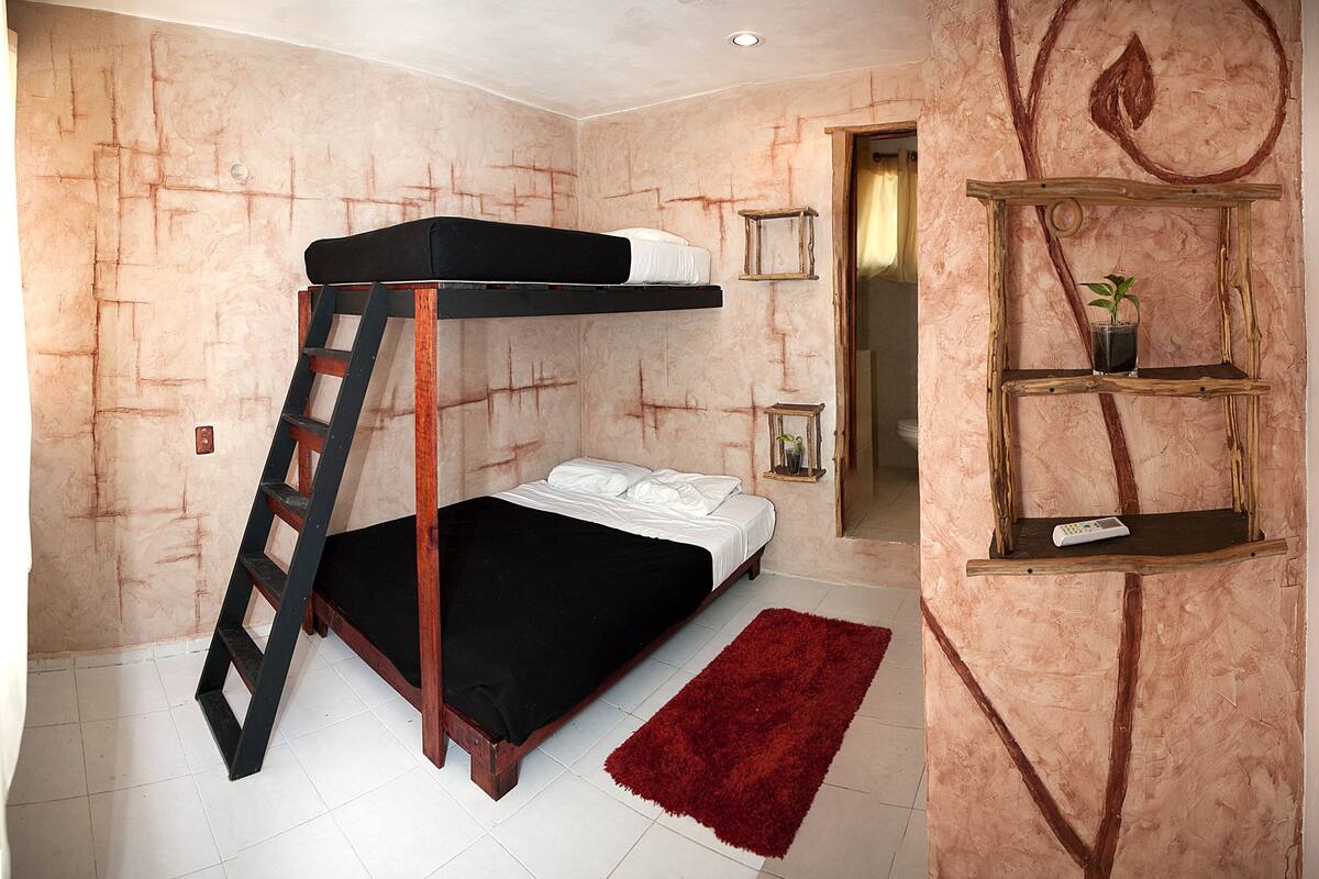 Una cama litera con escalera, una alfombra roja y un estante de madera con una planta.