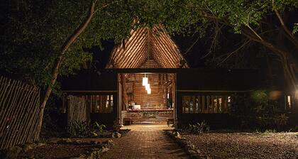 Lucky Traveler Hostel