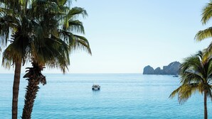 A beach with palm trees, calm water, and a boat.