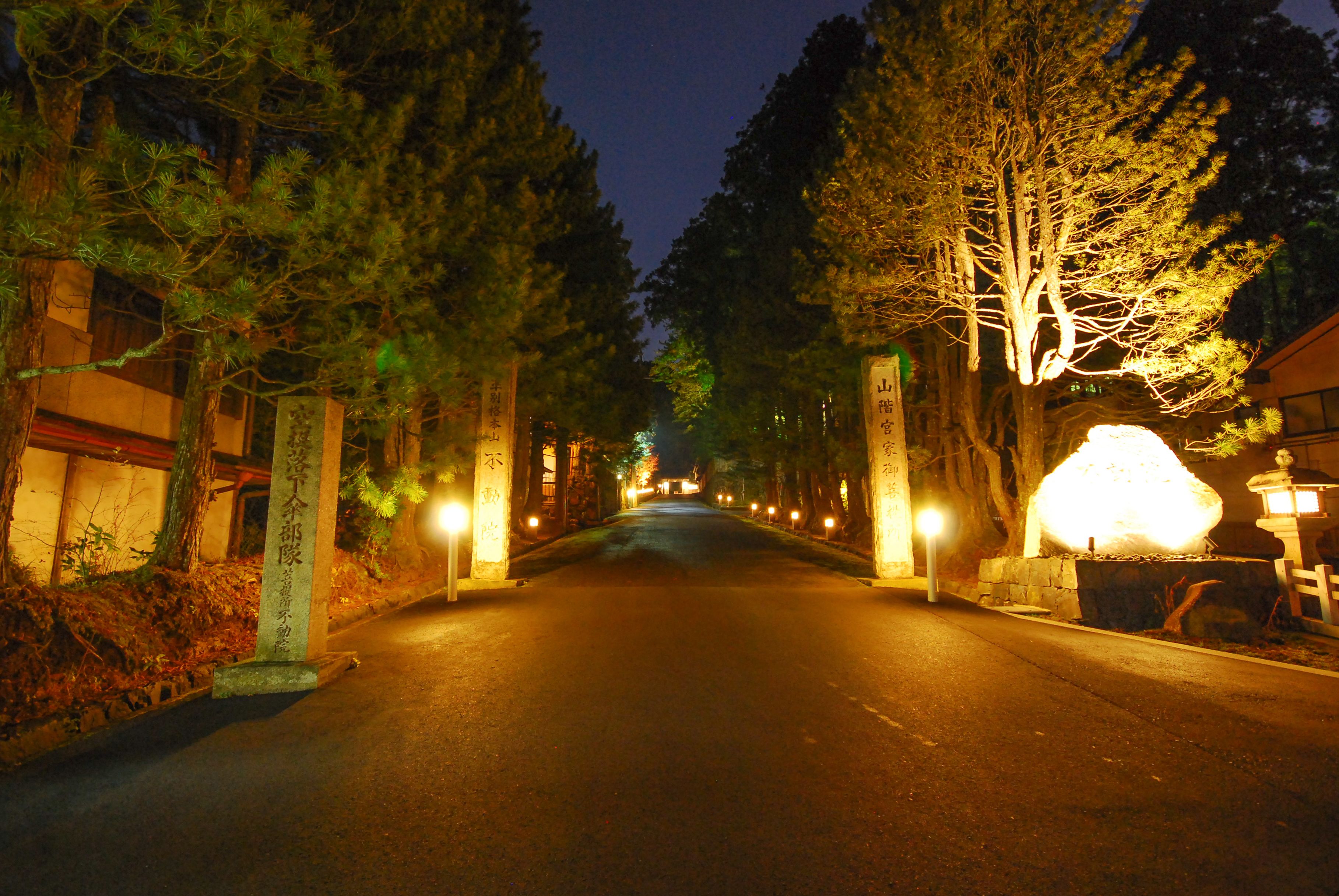 A nighttime street with trees and illuminated signs, leading to a building entrance.
