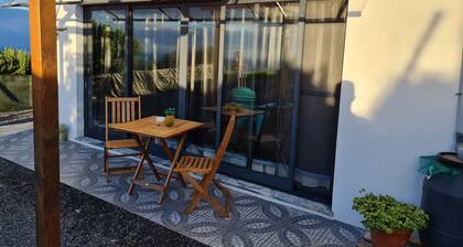 Elegant studio (V0) with garden and infinity views