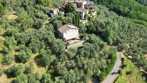 Une maison de campagne entourée d’une végétation luxuriante, avec une route goudronnée à proximité.