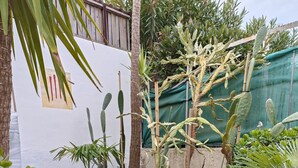 A garden with various plants, a Buddha statue, and a wooden fence. - Villa a few steps from the beach   (Saint-Cyprien)