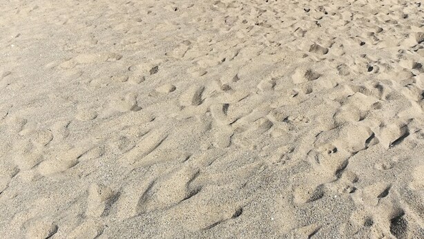 A wide sandy beach with gentle waves and a clear blue sky. - Villa a few steps from the beach   (Saint-Cyprien)