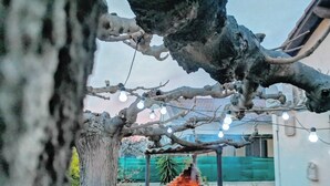 A rustic outdoor area with a stone-built barbecue grill, string lights, and a tree with bare branches. - Villa a few steps from the beach   (Saint-Cyprien)