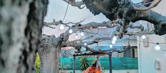 Villa a few steps from the beach  