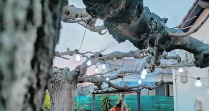 Villa Schritte vom Strand entfernt