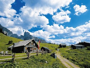 Esterni