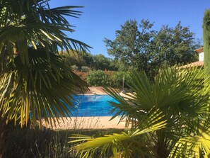 Una piscina azul cristalina rodeada de exuberante vegetación y árboles.