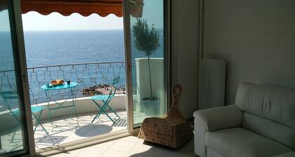 Promenade des Anglais, front Sea & Beach, Outstanding Panorama