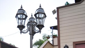 A street lamp with three lights, a potted plant with green leaves and orange flowers, and a wooden fence.