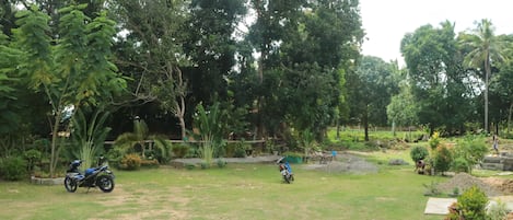 Property grounds