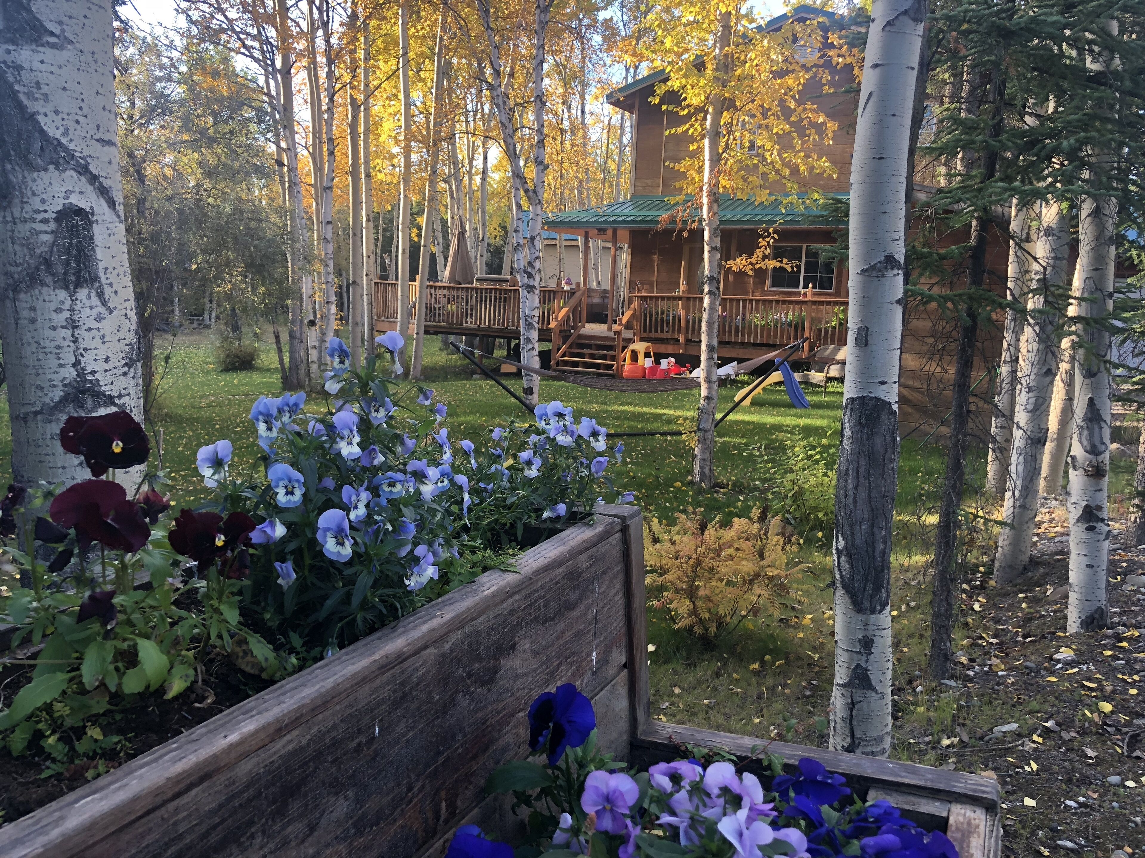 Private 3 Bedroom Home Near Denali National Park - Sleeps 10