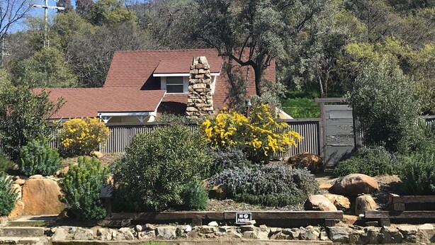 A house with a stone chimney, surrounded by a garden with yellow flowers and various shrubs. - Chic Historic Cottage in the Heart of 3 Rivers-close to SNP, Hot Tub, Love dogs! (Three Rivers)