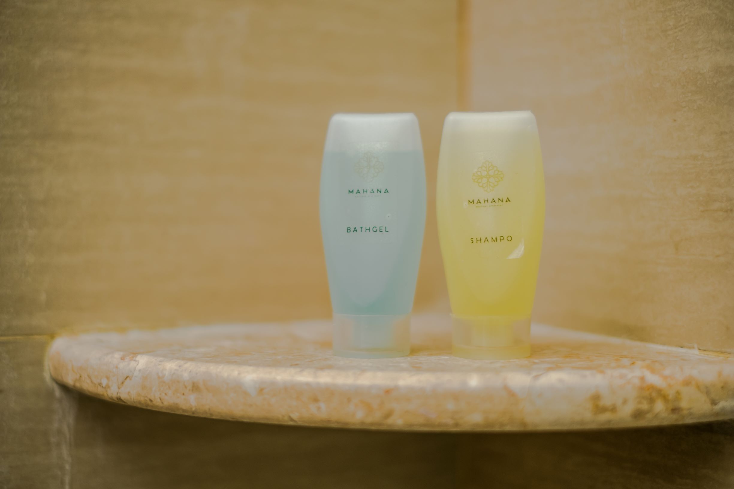 shower, free toiletries, hair dryer, slippers