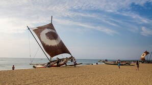 Une plage où plusieurs bateaux traditionnels sont amarrés près du rivage.
