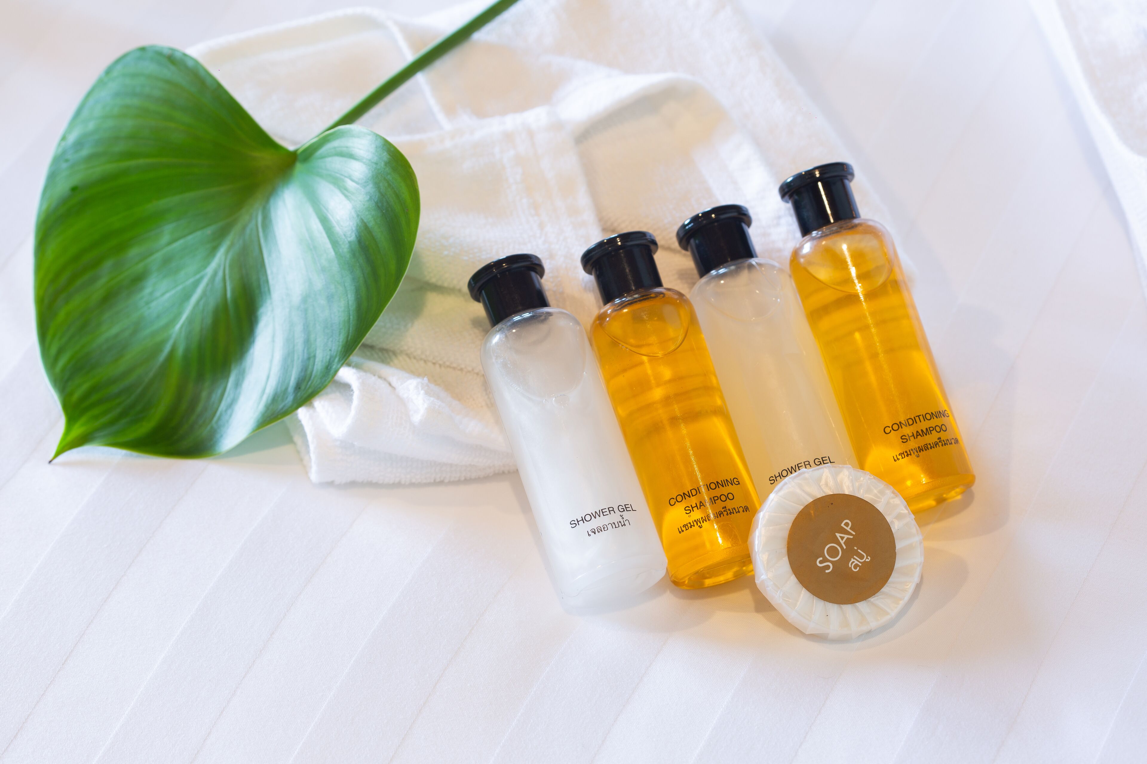 Foto - Koh Tao Relax Freedom Beach Resort