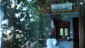未分類圖片，第 5 張 (共 70 張)，按鈕