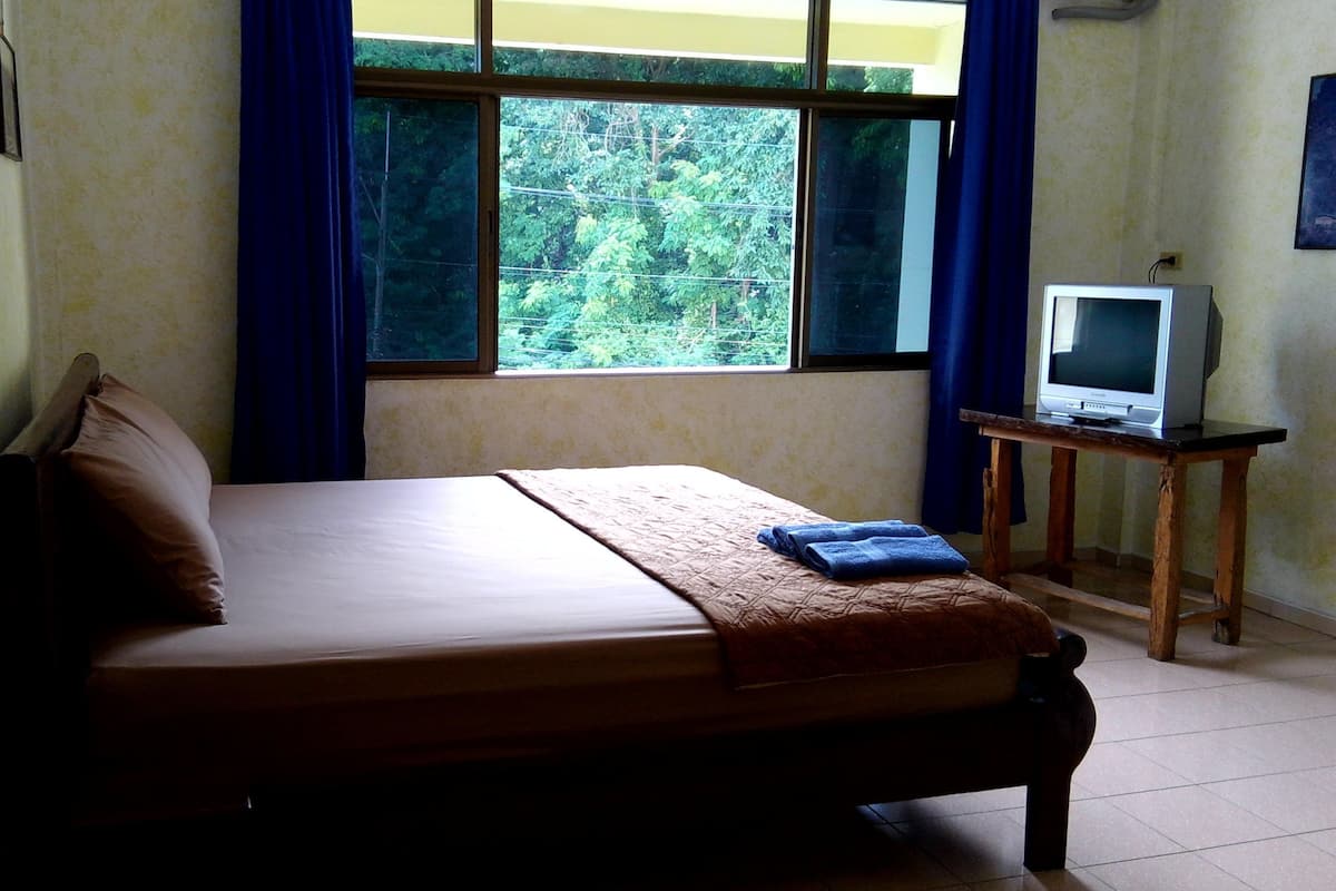 A room with a bed, a television on a small table, and a window with curtains.