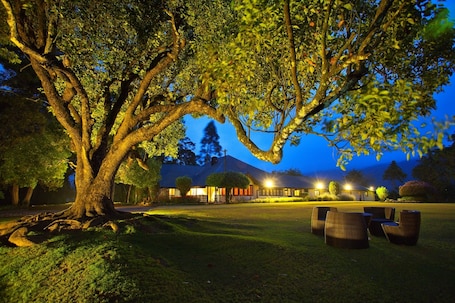 Vista al jardín