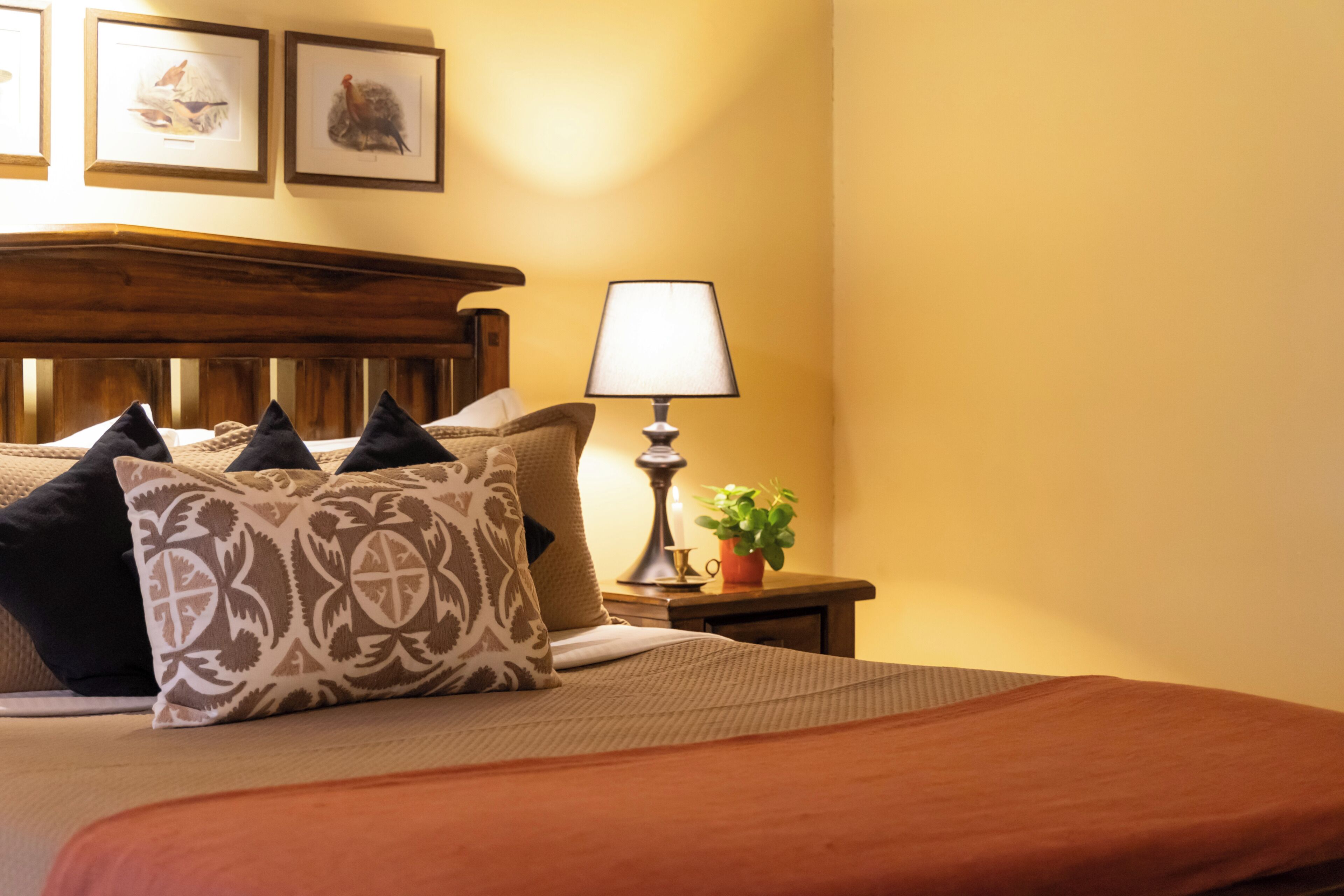 Ein ordentlich gemachtes Bett mit gemusterten Kissen, einer Nachttischlampe und einem kleinen Tisch mit einer Pflanze.