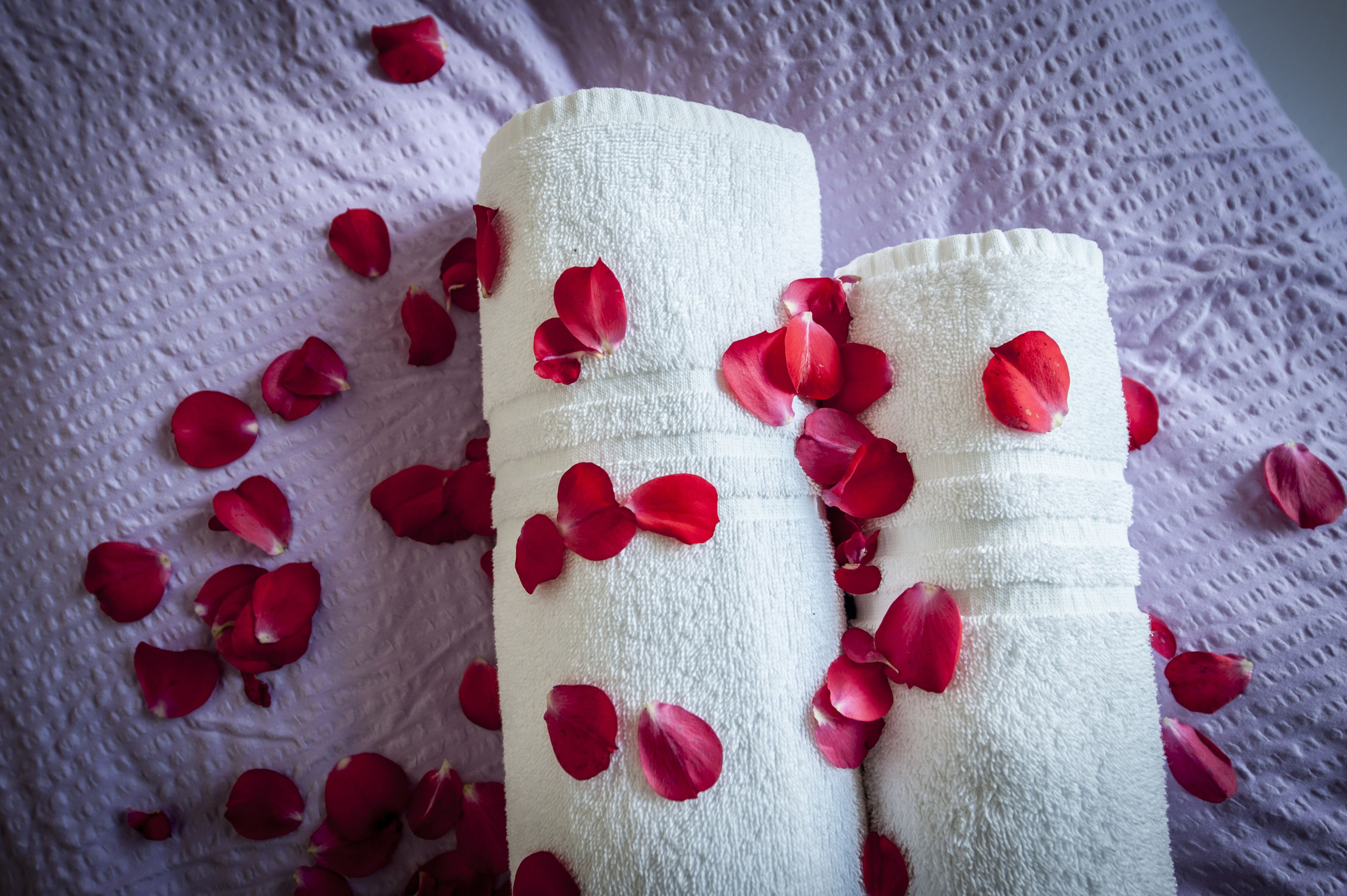 Two rolled white towels with red rose petals scattered around them on a textured surface.